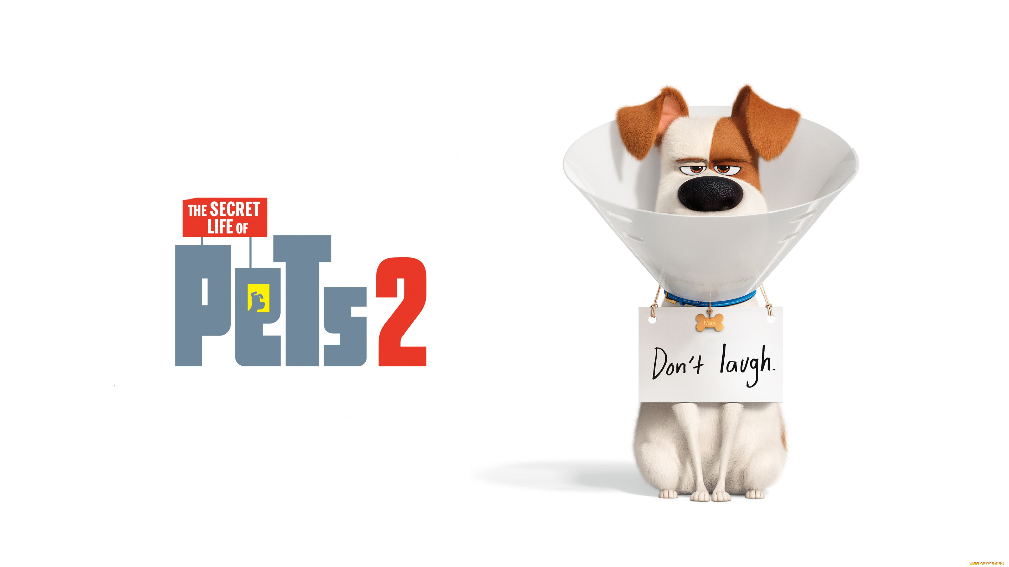 the secret life of pets 2 , 2019, , the secret life of pets 2, , , max, patton, oswalt, , , , , , , 